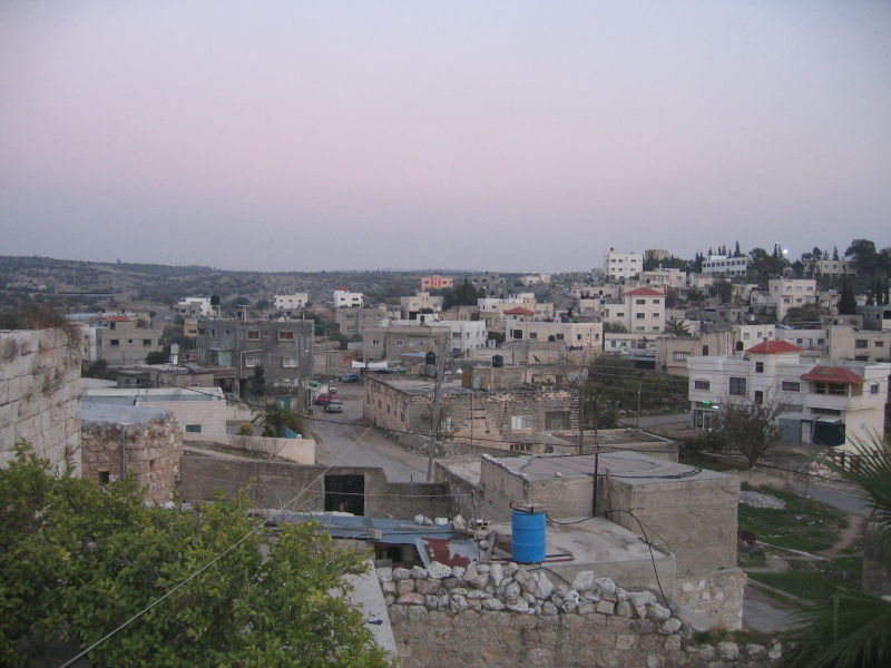 Picture for Kafr Jammal Village - Palestine: : منظر عام لحي دار علي من وسط البلد بجانب المسجد القديم