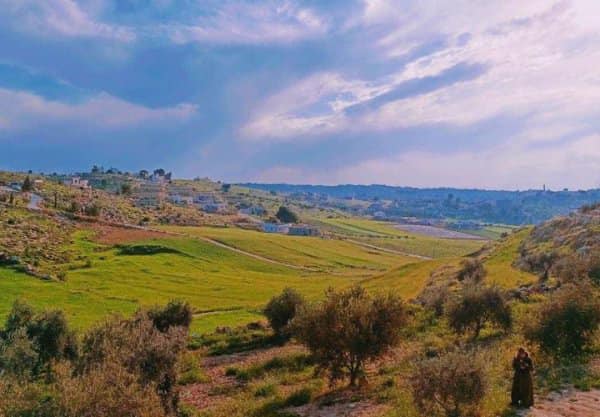 صورة لقرية خربة المجد - فلسطين: : منظر عام #2