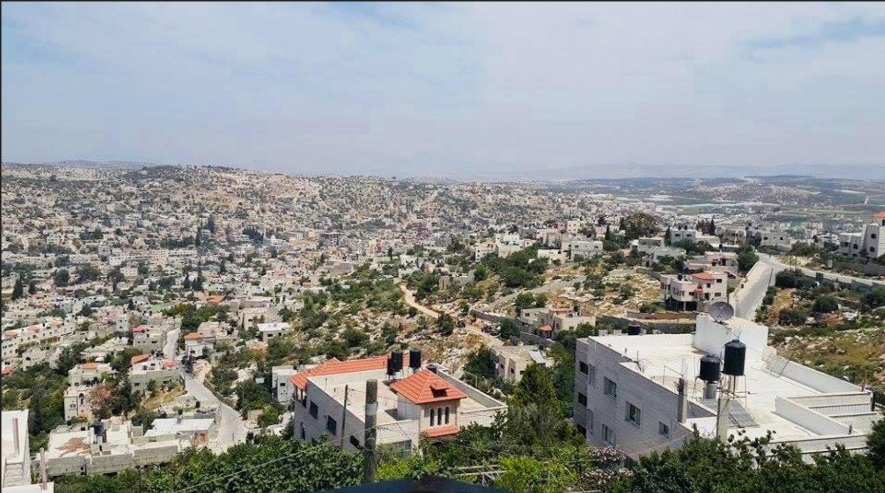صورة لقرية قباطية - فلسطين: : منظر عام