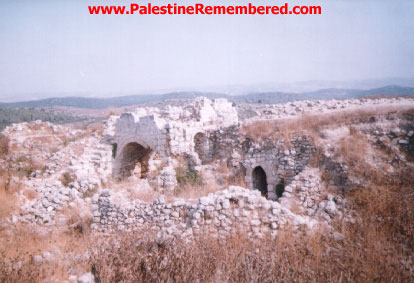 Picture for Sa'sa', Khirbat Village - Palestine: : Khirbat Sa'sa ruins, a view from the East, 2000
