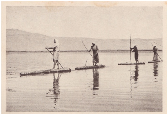 Picture for al-'Ulmaniyya Village - Palestine: : العلمانيه قبل النكبه
