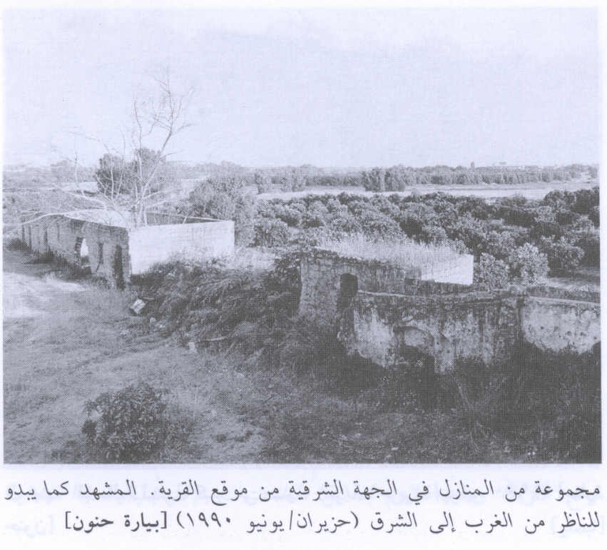 صورة لقرية بيارات حنون - فلسطين: : انقاض بيوت مدمرة. 1990