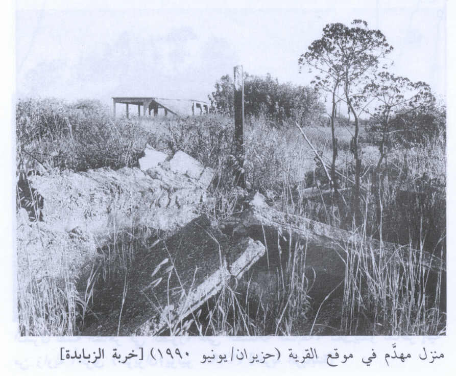 صورة لقرية خربة الزبابدة - فلسطين: : أطلال بيوت القرية المدمرة 1990