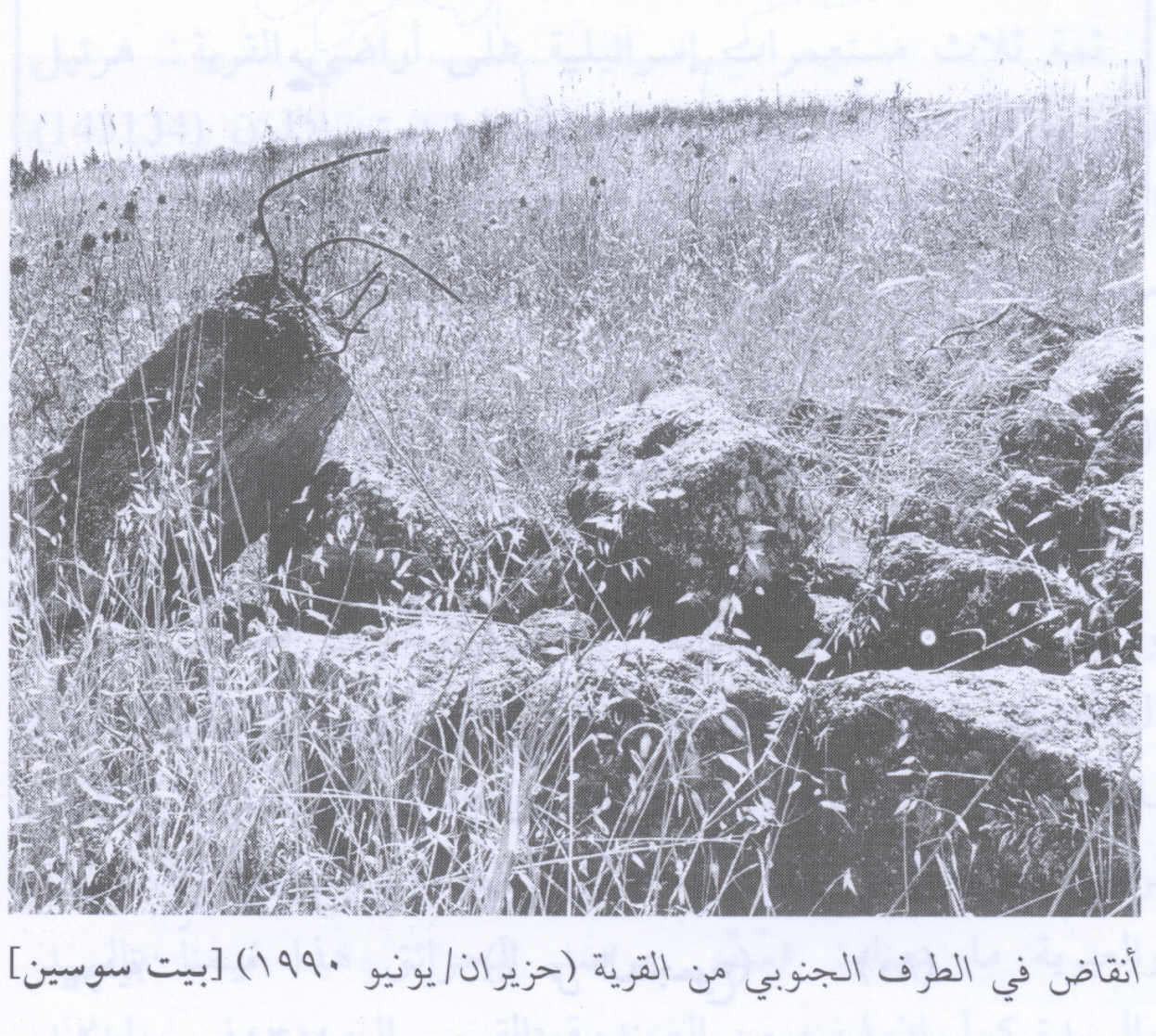 صورة لقرية بيت سوسين - فلسطين: : أطلال بيوت القرية المدمرة 1990